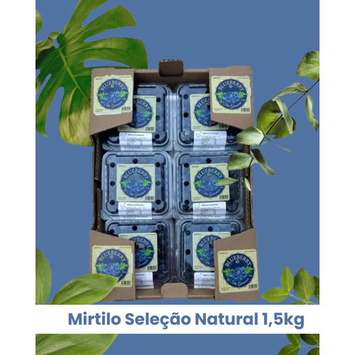Mirtilo Fruta In Natura Seleção Natural Caixa com ... - Sitio Germinare 