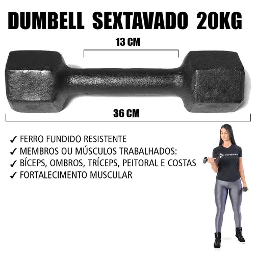 Dumbbell Sextavado Pintado - 20kg (unidade) - 1654 - Natural Fitness