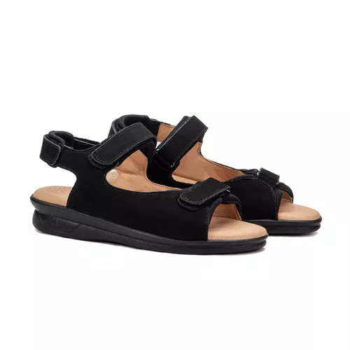 Pisa | Natural Step