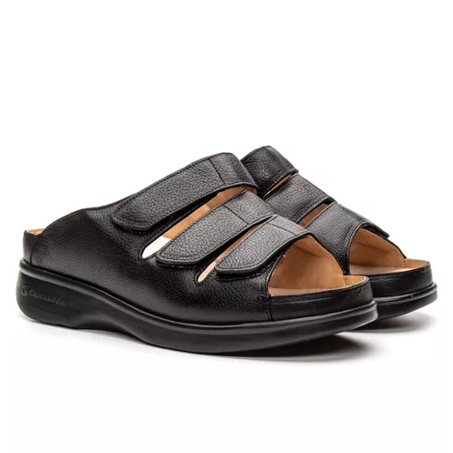 Pisa | Natural Step