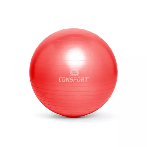 Bola Suíça para Pilates e Ginástica - 55cm - Verme... - Natural Fitness