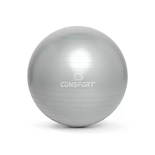 Bola Suíça para Pilates e Ginástica - 65cm - Cinza... - Natural Fitness