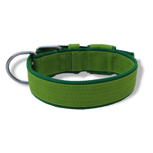  Coleira Para Cachorro Amorosso Slim Verde Claro E Verde