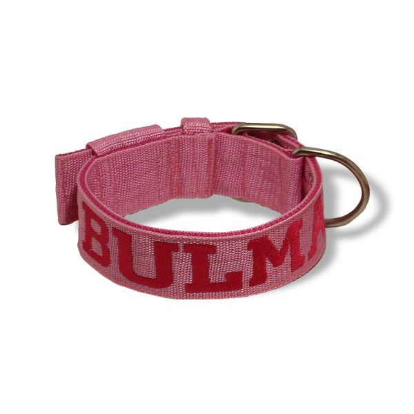 Coleira Para Cachorro Personalizada (Rosa e Pink)