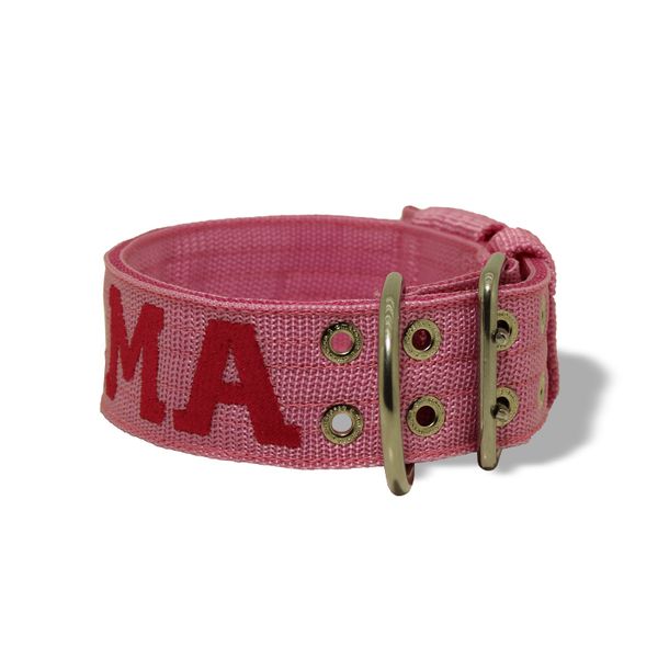 Coleira Para Cachorro Personalizada (Rosa e Pink)