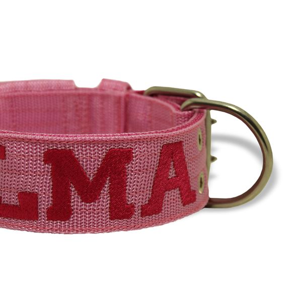 Coleira Para Cachorro Personalizada (Rosa e Pink)