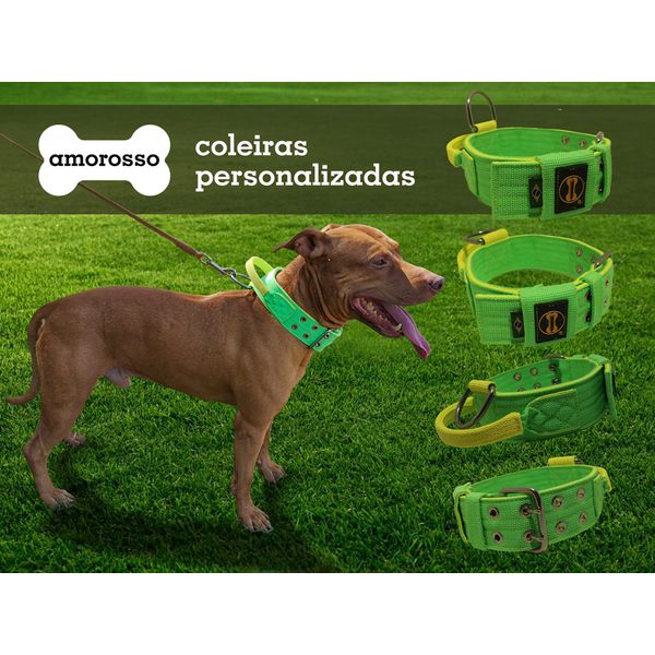 Coleira Para Cachorro Poderosso (Verde Flúor e Amarelo Flúor)