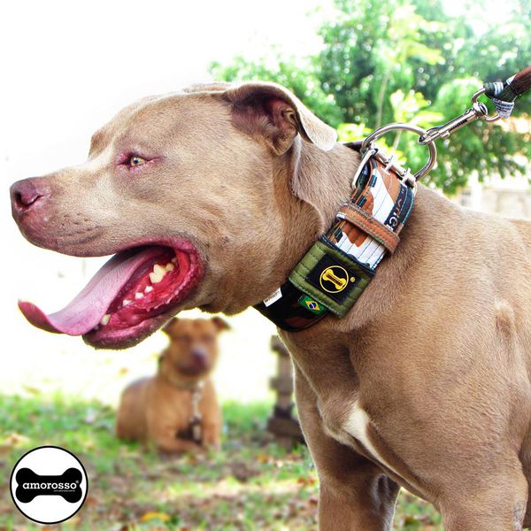 Coleira Amorosso® U.S ARMY