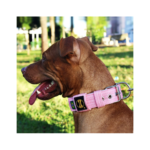  Coleira Para Cachorro Fit (Rosa Bebê) 