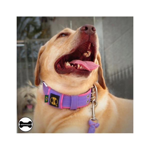 Coleira Para Cachorro Amorosso Slim + Super Guia Curta 80cm (Lilás e Rosa) 
