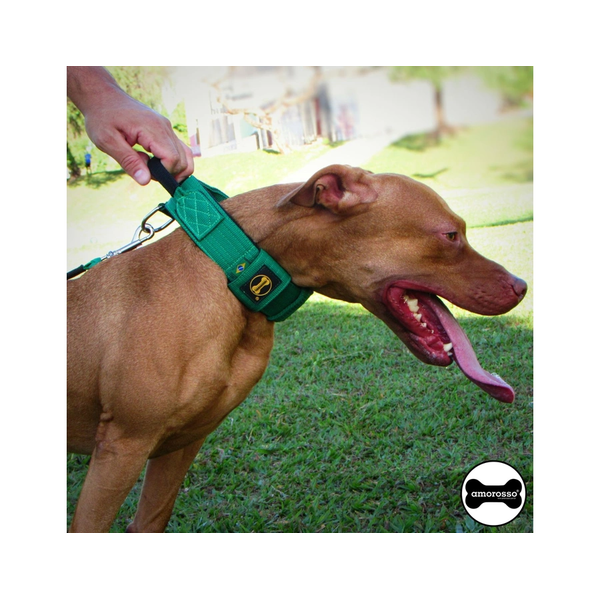 Coleira Para Cachorro Poderosso (Verde E Preto)