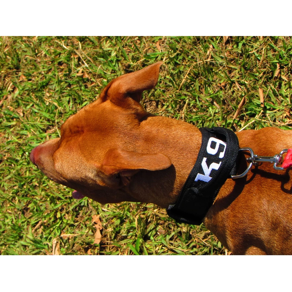Coleira Para Cachorro Com Alça Personalizada (total black)