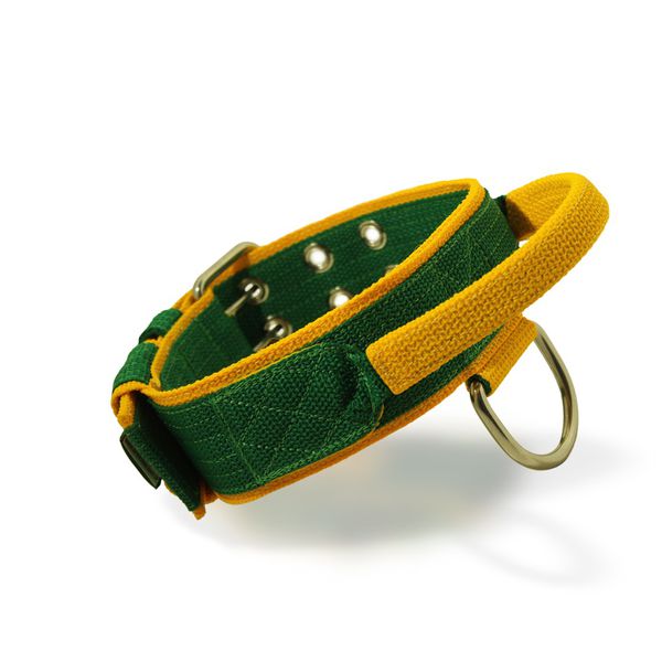 Coleira Poderosso Slim - Verde e Amarelo