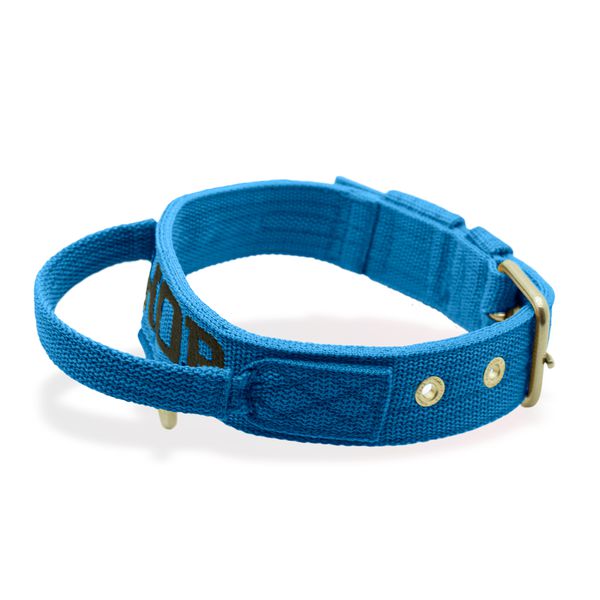 Coleira Fit Poderosso Personalizada Nome Cachorro Amorosso 