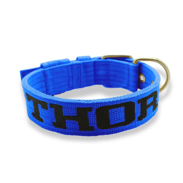 Coleira Fit Personalizada Nome Cachorro Amorosso