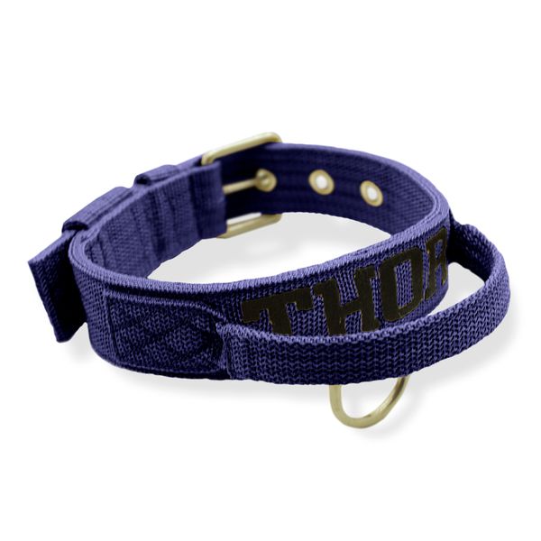 Coleira Fit Poderosso Personalizada Nome Cachorro Amorosso 