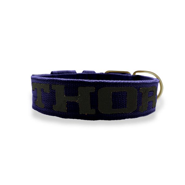 Coleira Fit Personalizada Nome Cachorro Amorosso