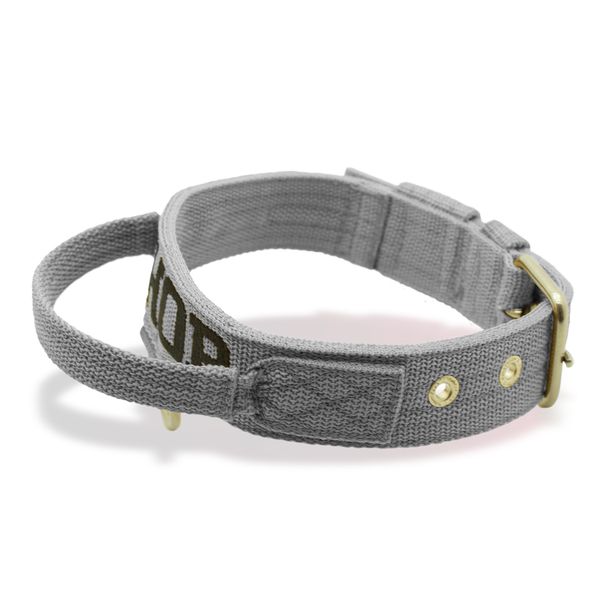 Coleira Fit Poderosso Personalizada Nome Cachorro Amorosso 