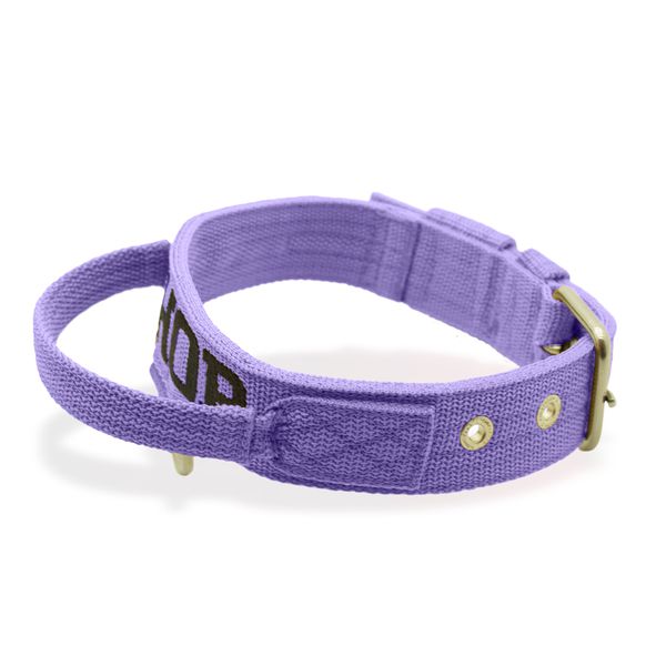 Coleira Fit Poderosso Personalizada Nome Cachorro Amorosso 