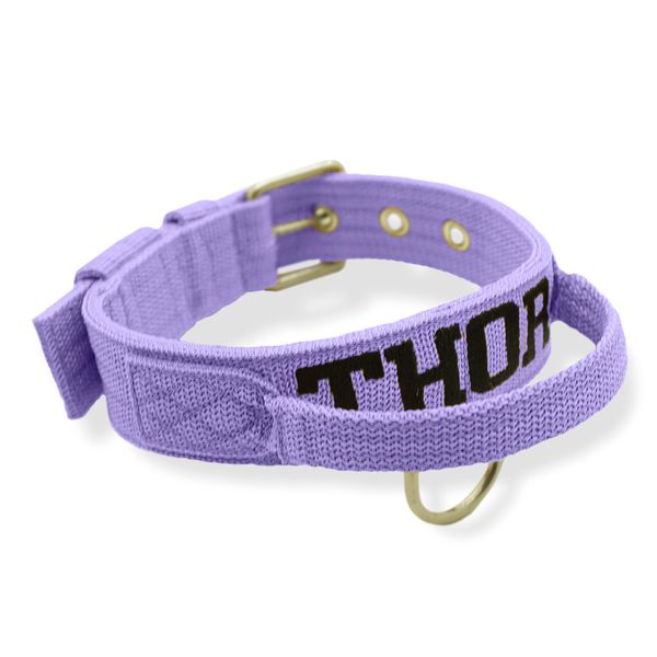 Coleira Fit Poderosso Personalizada Nome Cachorro Amorosso 