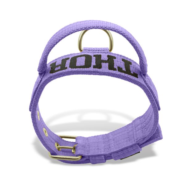 Coleira Fit Poderosso Personalizada Nome Cachorro Amorosso 
