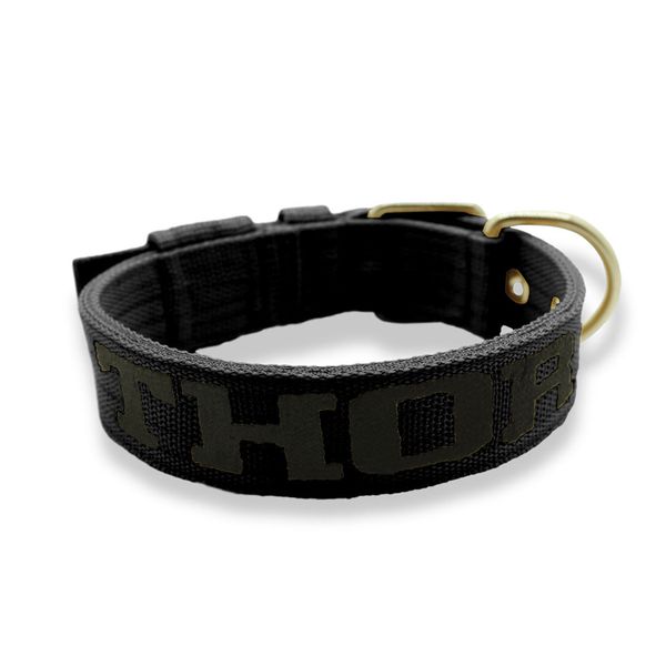 Coleira Fit Personalizada Nome Cachorro Amorosso