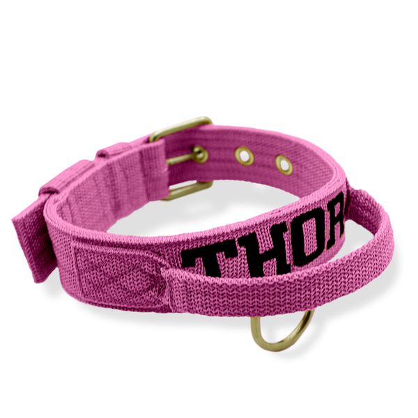 Coleira Fit Poderosso Personalizada Nome Cachorro Amorosso 