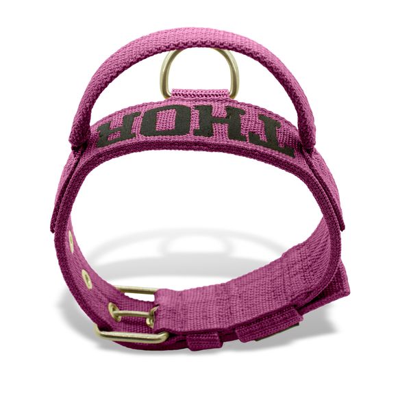 Coleira Fit Poderosso Personalizada Nome Cachorro Amorosso 
