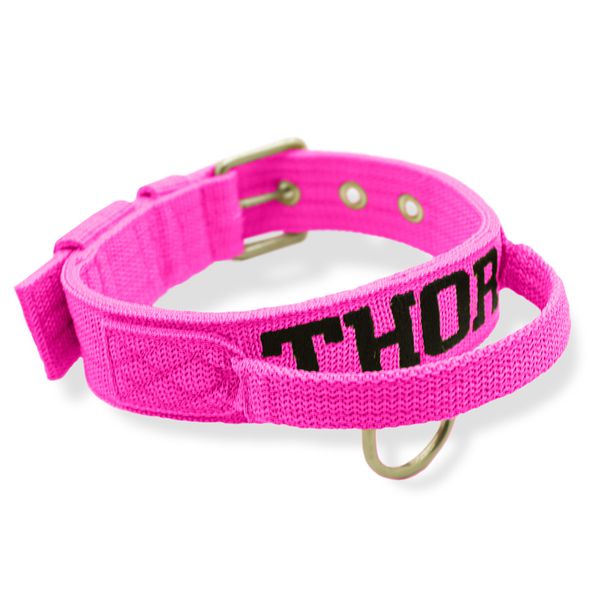 Coleira Fit Poderosso Personalizada Nome Cachorro Amorosso 
