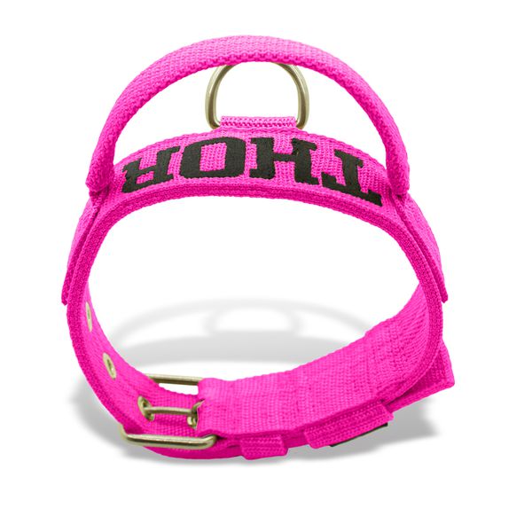Coleira Fit Poderosso Personalizada Nome Cachorro Amorosso 