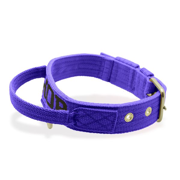 Coleira Fit Poderosso Personalizada Nome Cachorro Amorosso 