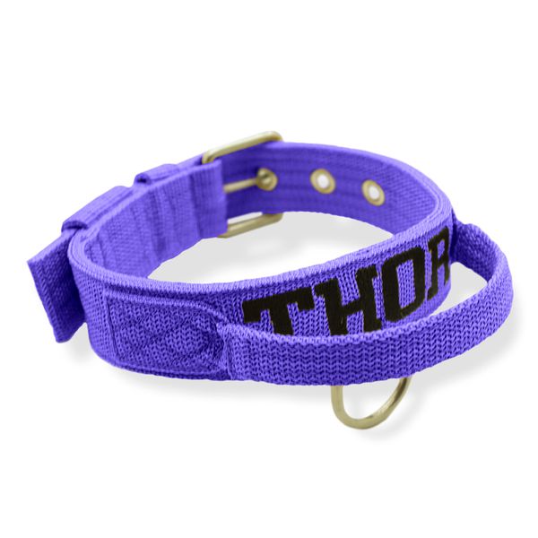 Coleira Fit Poderosso Personalizada Nome Cachorro Amorosso 