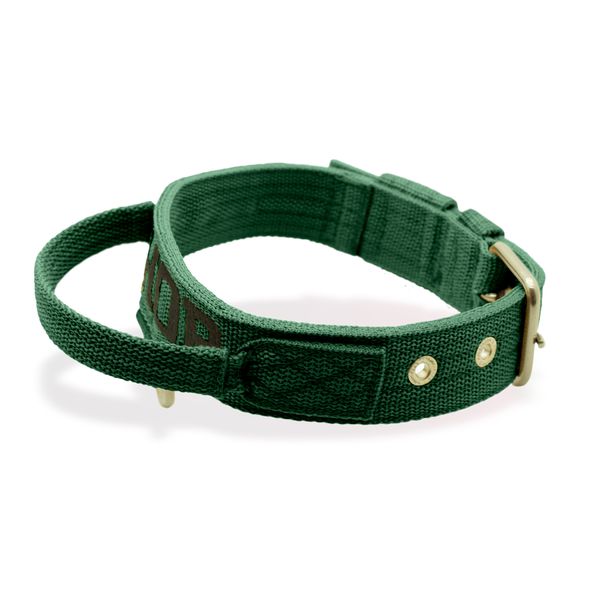 Coleira Fit Poderosso Personalizada Nome Cachorro Amorosso 