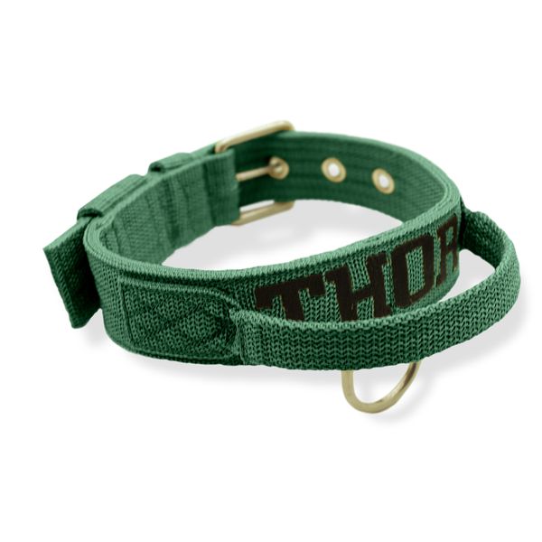 Coleira Fit Poderosso Personalizada Nome Cachorro Amorosso 