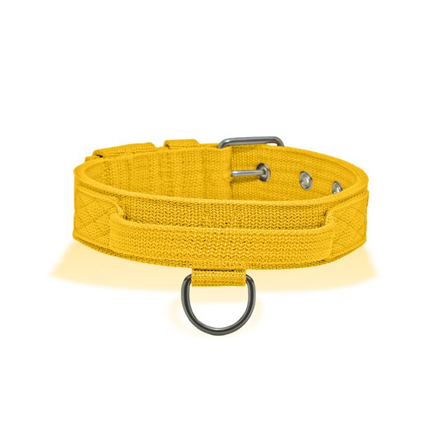 Coleira Cachorro Poderosso Fit Amorosso Amarelo
