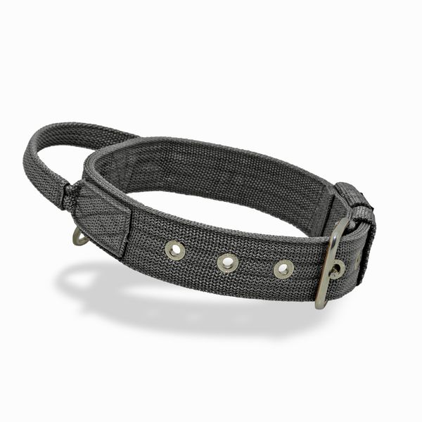 Coleira Cachorro Poderosso Fit Amorosso Cinza