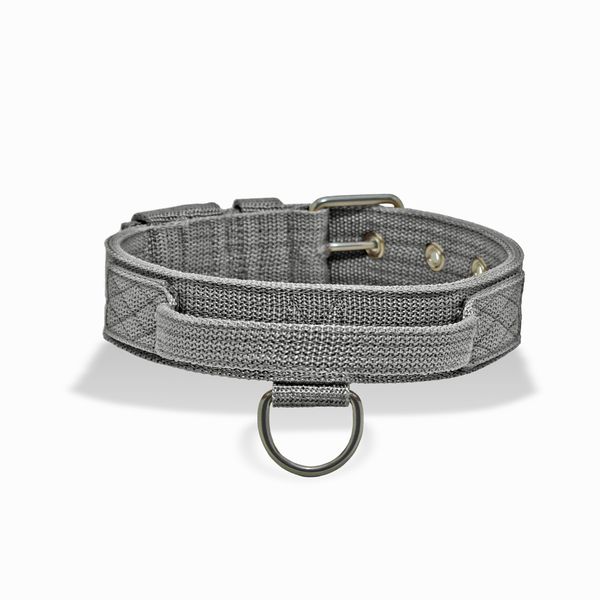 Coleira Cachorro Poderosso Fit Amorosso Cinza