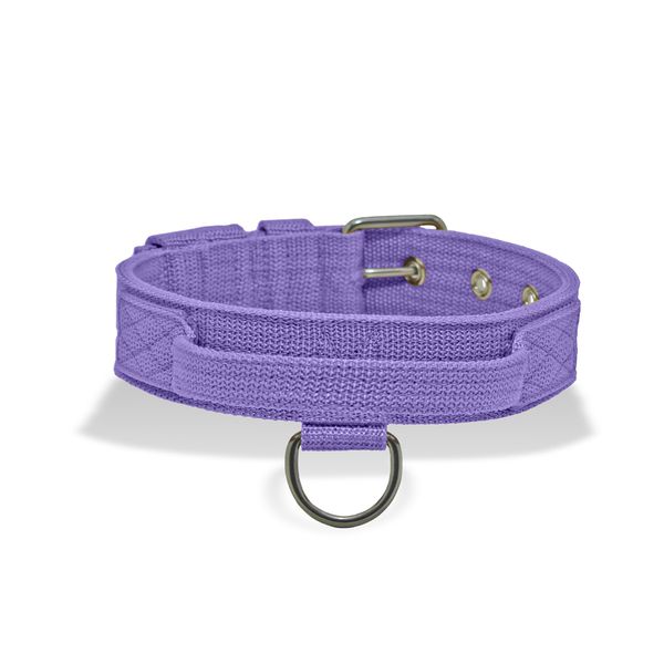 Coleira Cachorro Poderosso Fit Amorosso Lilás 