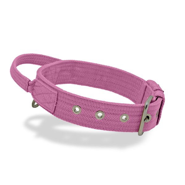 Coleira Cachorro Poderosso Fit Amorosso Rosa 
