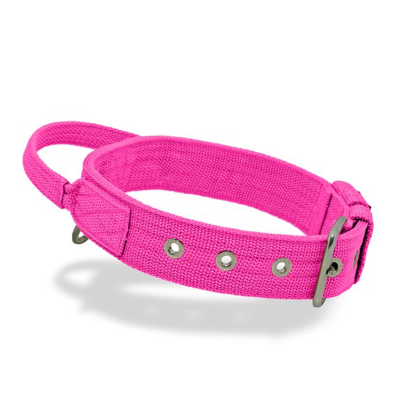 Coleira Cachorro Poderosso Fit Amorosso Rosa Flúor 