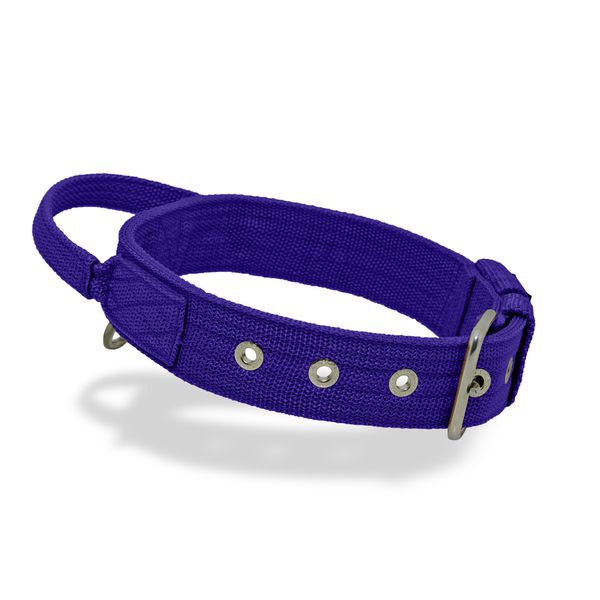 Coleira Cachorro Poderosso Fit Amorosso Roxo