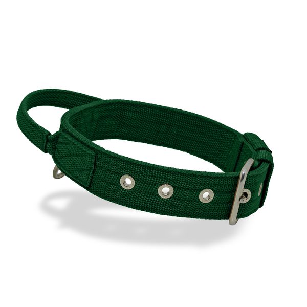Coleira Cachorro Poderosso Fit Amorosso Verde 