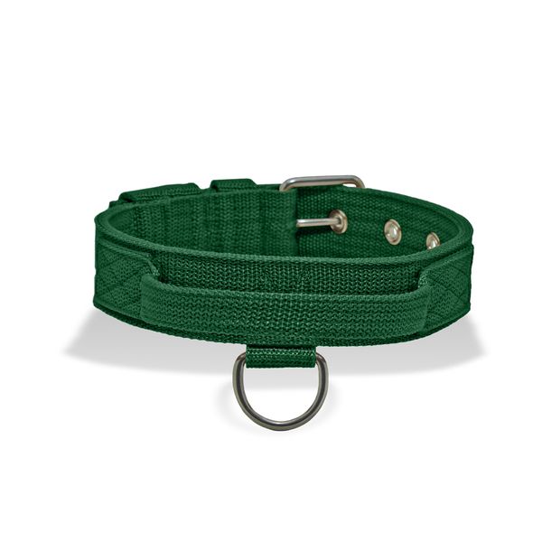 Coleira Cachorro Poderosso Fit Amorosso Verde 