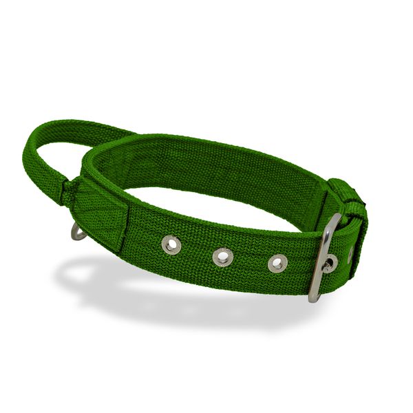 Coleira Cachorro Poderosso Fit Amorosso Verde Claro