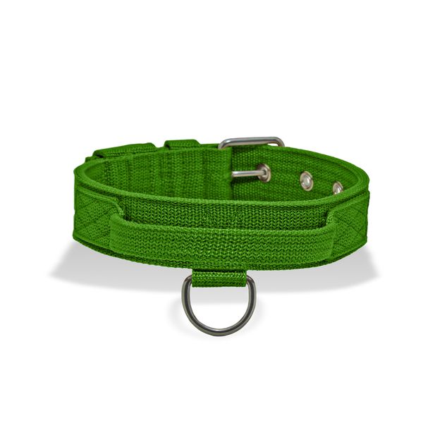 Coleira Cachorro Poderosso Fit Amorosso Verde Claro