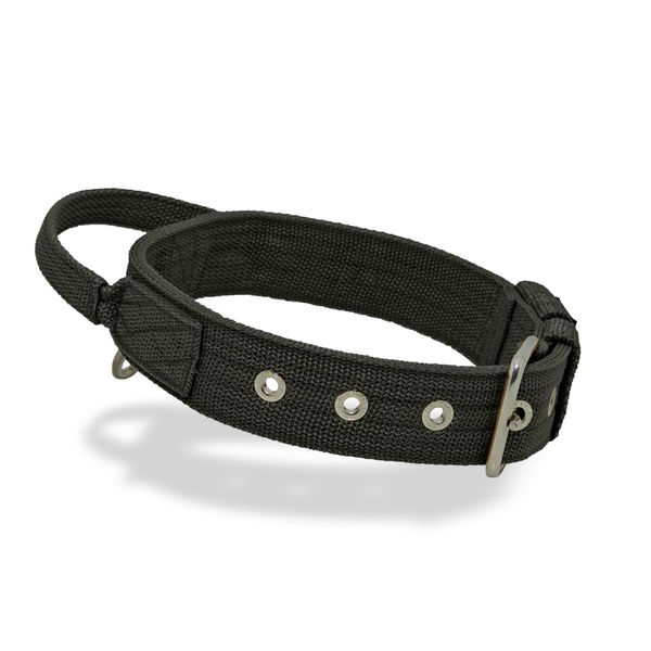 Coleira Cachorro Poderosso Fit Amorosso Verde Militar
