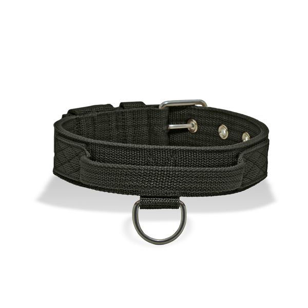 Coleira Cachorro Poderosso Fit Amorosso Verde Militar
