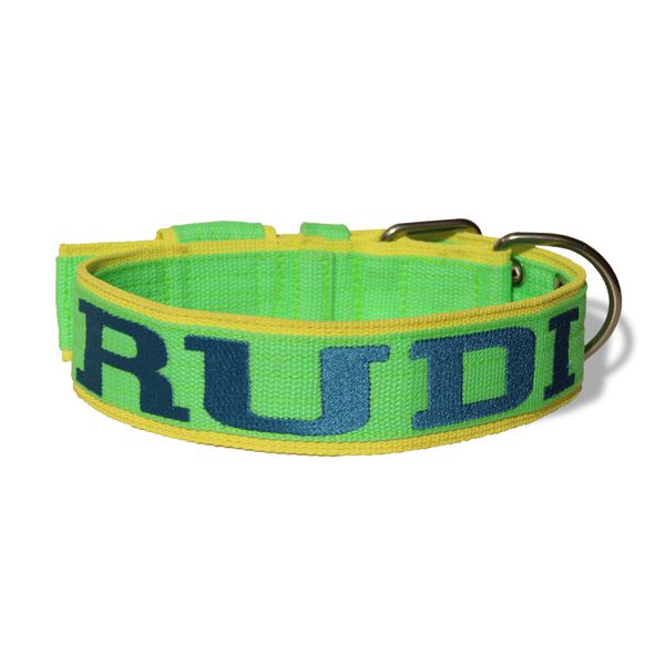  Coleira Para Cachorro Amorosso - Personalizada Slim (Verde Claro e Amarelo) 