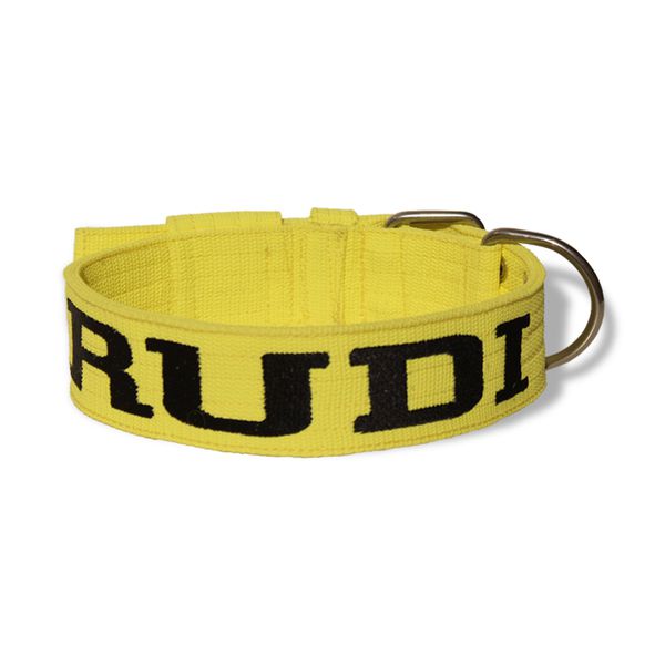 Coleira Para Cachorro Personalizada (Amarelo Flúor) 