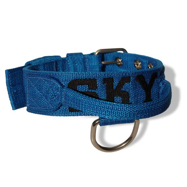 Coleira Poderosso Para Cachorro Personalizada (Azul e Preto) 